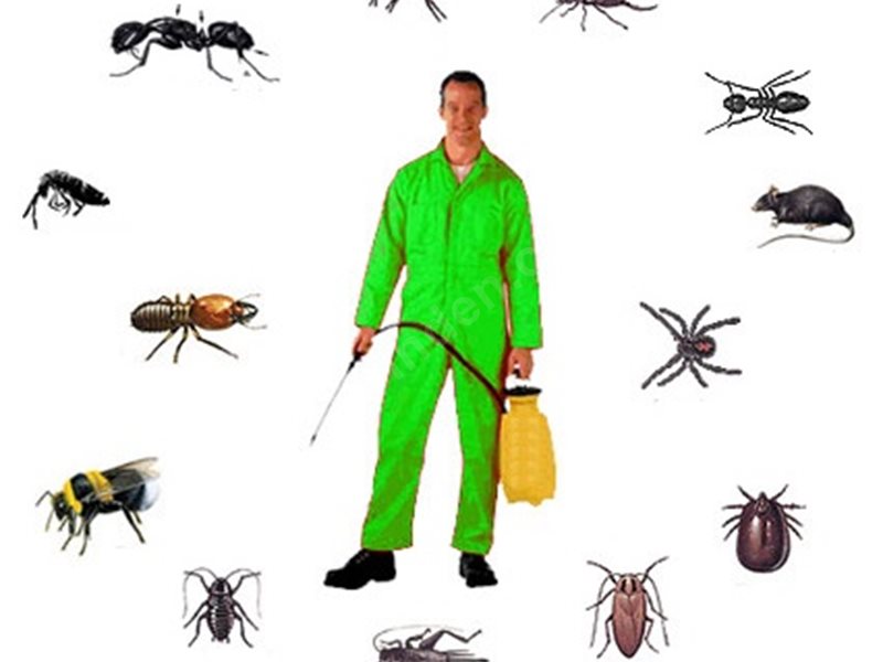 Oğuzlar Böcek İlaçlama
