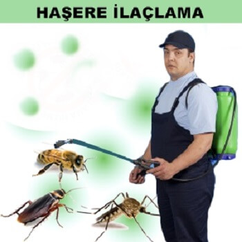 Oğuzlar Böcek İlaçlama